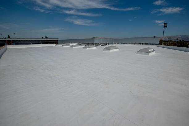 Best Wood Shake Roofing  in Holly, MI