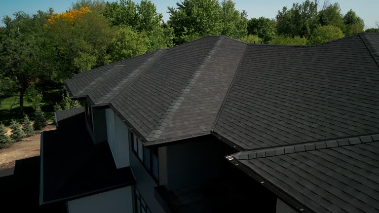 Best Hot Roofs  in Holly, MI