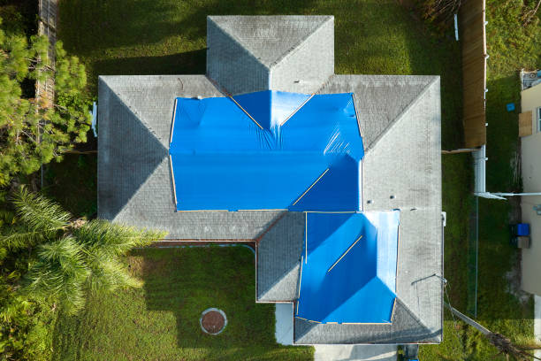 Best Rubber Roofing (EPDM, TPO)  in Holly, MI