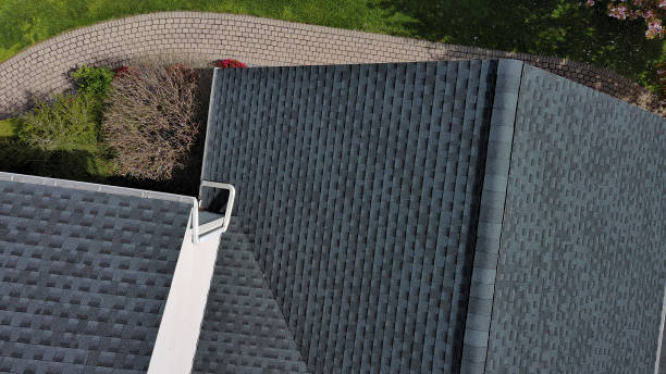 Best Storm Damage Roof Repair  in Holly, MI