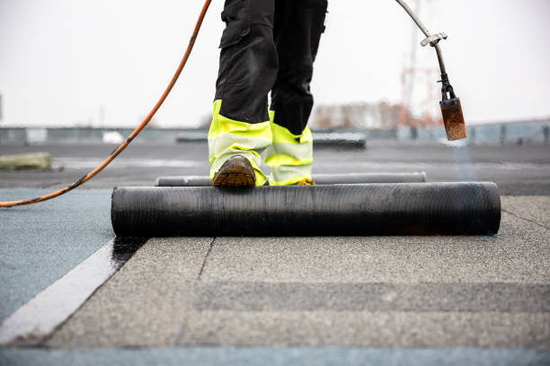 Best Asphalt Shingles Roofing  in Holly, MI