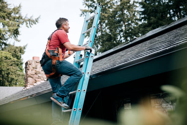 Best Roof Coating and Sealing  in Holly, MI